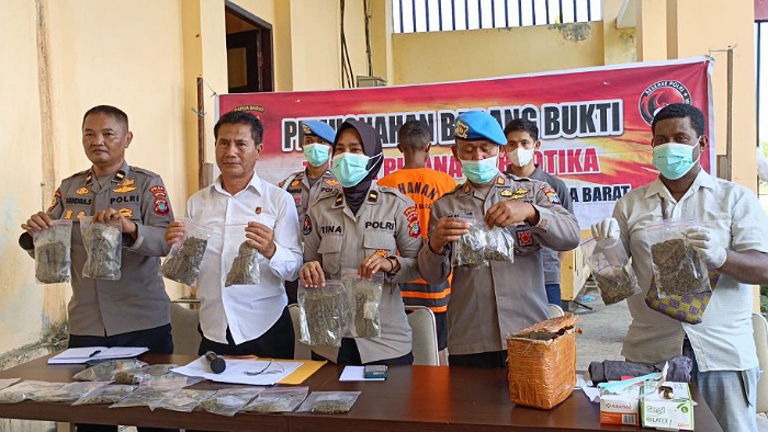 Ditresnarkoba Polda Papua Barat Musnahkan 920,973 Gram Narkotika Jenis Ganja