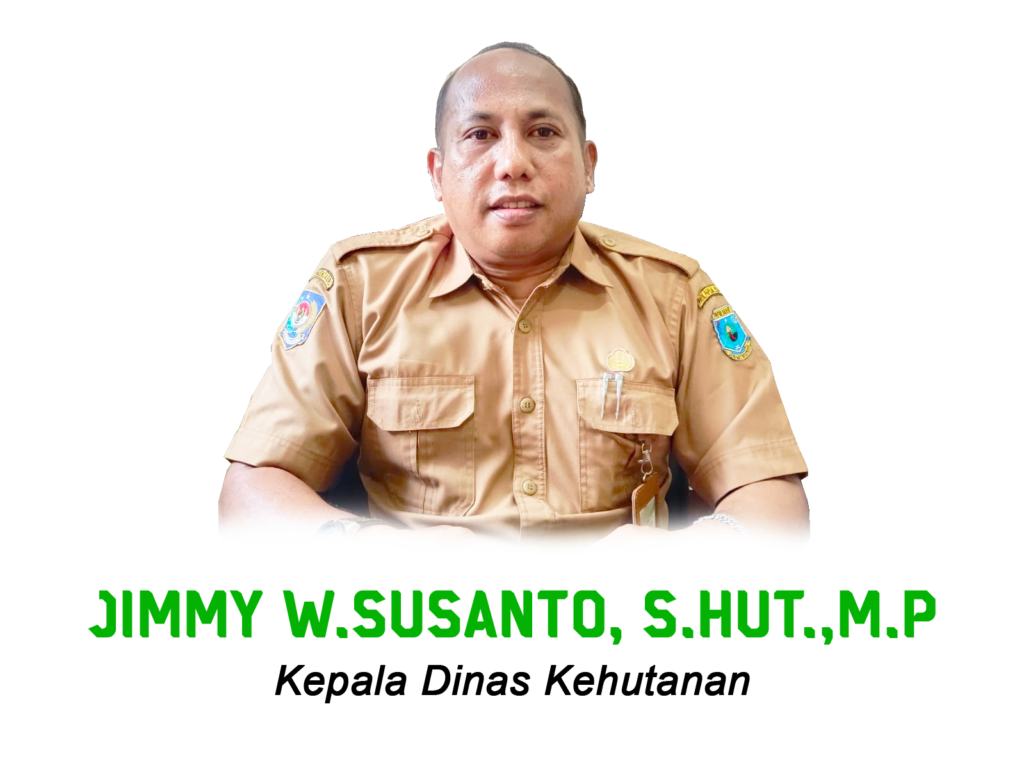 Kepala Dinas Kehutanan