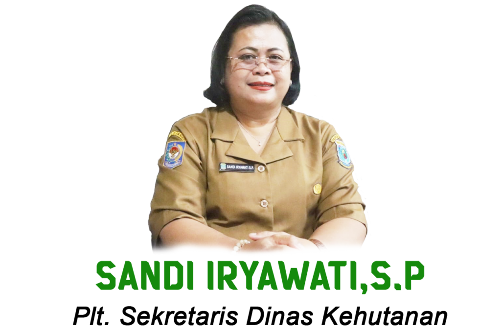 Plt Sekretaris Dinas Kehutanan